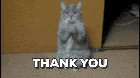 cat thank you